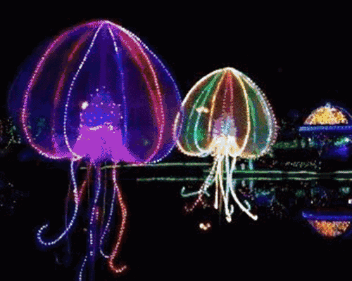 节示意图 九月,安阳霓虹闪烁,耀眼夺目, 近万盏灯,邂逅建业生态公园